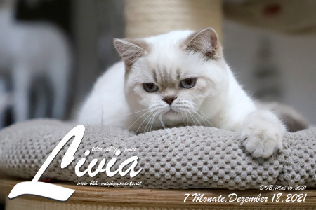 Livia ist 7 Monate alt ( 18.12.2021 )