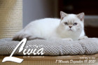 Livia ist 7 Monate alt ( 18.12.2021 )