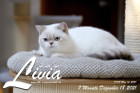 Livia ist 7 Monate alt ( 18.12.2021 )