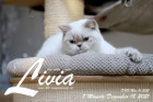 Livia ist 7 Monate alt ( 18.12.2021 )
