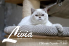 Livia ist 7 Monate alt ( 18.12.2021 )
