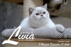 Livia ist 7 Monate alt ( 18.12.2021 )
