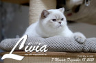 Livia ist 7 Monate alt ( 18.12.2021 )