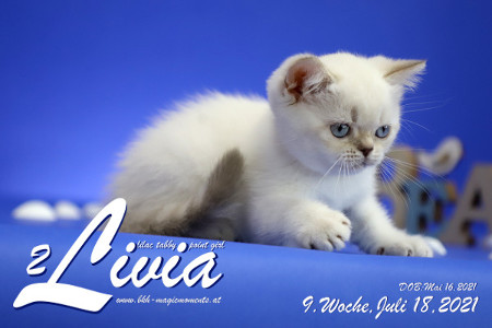 Livia ist 9 Wochen alt ( 18.07.2021 )