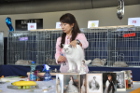 Mary Rose bei Tica Richterin Hisae Tasaki aus Japan