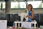 Mary Rose bei Tica Richterin Pascale Portelas aus Frankreich