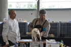 Mary Rose bei Tica Richter Steven Savant aus den USA