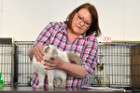 Mary Rose bei Tica Richterin Beverly Elian aus Rumänien