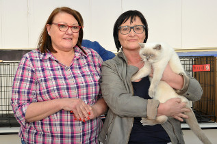 Bei Tica Richterin Beverly Elians hat Rosi ihren Supreme Grand Champion Titel erreicht