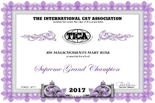 Mary Rose darf sich ab sofort Supreme Grand Champion nennen
