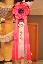 Mary Rose bekommt bei Ihrer 4.Show in der Erwachsenen Klasse den Tica Titel Quadruple Grand Champion