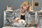 Mary Rose bei Tica Richterin Pamela Barrett aus den USA