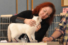 Mary Rose bei Tica Richteranwärterin Burg Petz aus Österreich