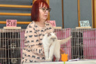 Mary Rose bei Tica Richterin Jane Allen aus England