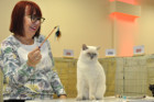 Mary Rose bei Tica Richterin Jane Allen aus England