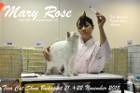 Mary Rose bei Tica Richterin Tomoko Vlach aus Österreich