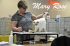 Mary Rose bei Tica Richterin Nicki Fenwick-Raven aus England