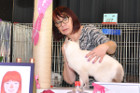 Mary Rose bei Tica Richterin Jane Allen aus England