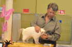 Mary Rose bei Tica Richter Steven Savant aus den USA