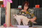 Mary Rose bei Tica Richterin Jane Allen aus England