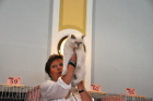 Mary Rose bei Tica Richterin Mary Lise de Landtsheer aus Belgien