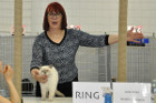 Mary Rose bei Tica Richterin Jane Allen aus England