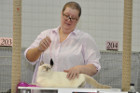 Mary Rose bei Tica Richterin Phillipa Holmes aus England