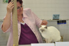 Mary Rose bei Tica Richterin Monika Dany aus Österreich