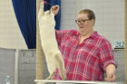Mary Rose bei Tica Richterin Phillipa Holmes aus England
