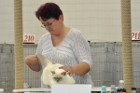 Mary Rose bei Tica Richterin Monika Dany aus Österreich