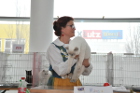 Mary Rose bei Tica Richterin Asa Broing aus Schweden