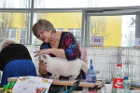 Mary Rose bei Tica Richterin Kim Chenault aus den USA