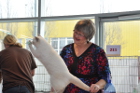 Mary Rose bei Tica Richterin Kim Chenault aus den USA