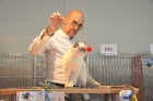 Mary Rose bei Tica Richter Jean Marc Lagarde aus Frankreich