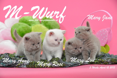Mary Rose ist 5 Wochen alt geworden ( 12.04.2015 )
