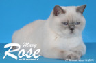 Mary Rose ist 13 Monate alt