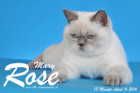 Mary Rose ist 13 Monate alt