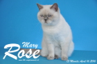 Mary Rose ist 13 Monate alt
