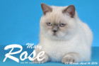 Mary Rose ist 13 Monate alt