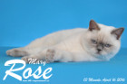 Mary Rose ist 13 Monate alt