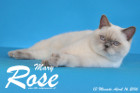Mary Rose ist 13 Monate alt