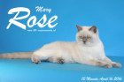 Mary Rose ist 13 Monate alt