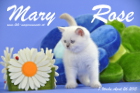 Mary Rose ist 7 Wochen alt geworden ( 26.04.2015 )