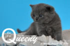 Queeny ist 3 Wochen alt geworden ( 27.08.2016 )