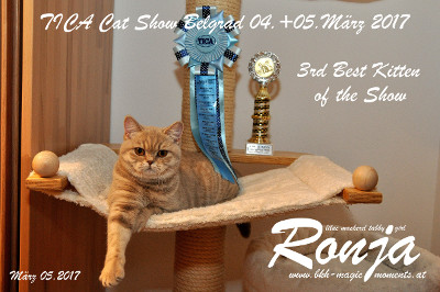 Ronja erreichte 12 von 12 möglichen Finale in der Kittenklasse