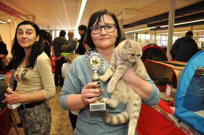 Ronja wurde 3.bestes Kitten der gesamten Show