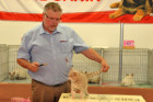 Ronja bei Tica Richter Kurt Vlach aus Österreich