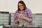 Ronja bei Tica Richterin Beverly Elian aus Rumänien