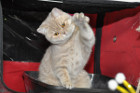 Ronja beim Spielen im Sturdy