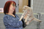 Ronja bei Tica Richterin Jane Allen aus England